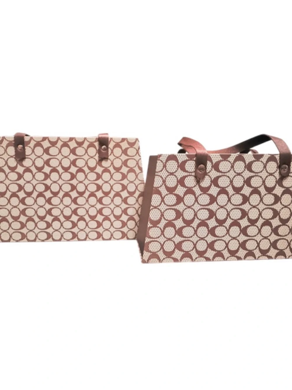 2Pc Luxury Floral Gift Bag Set with Handles | Hard Cardboard Bouquet Boxes